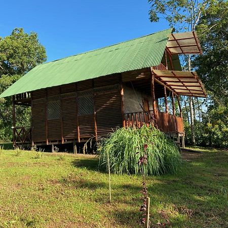 Eco Guest House- Sarapiqui 2 מראה חיצוני תמונה