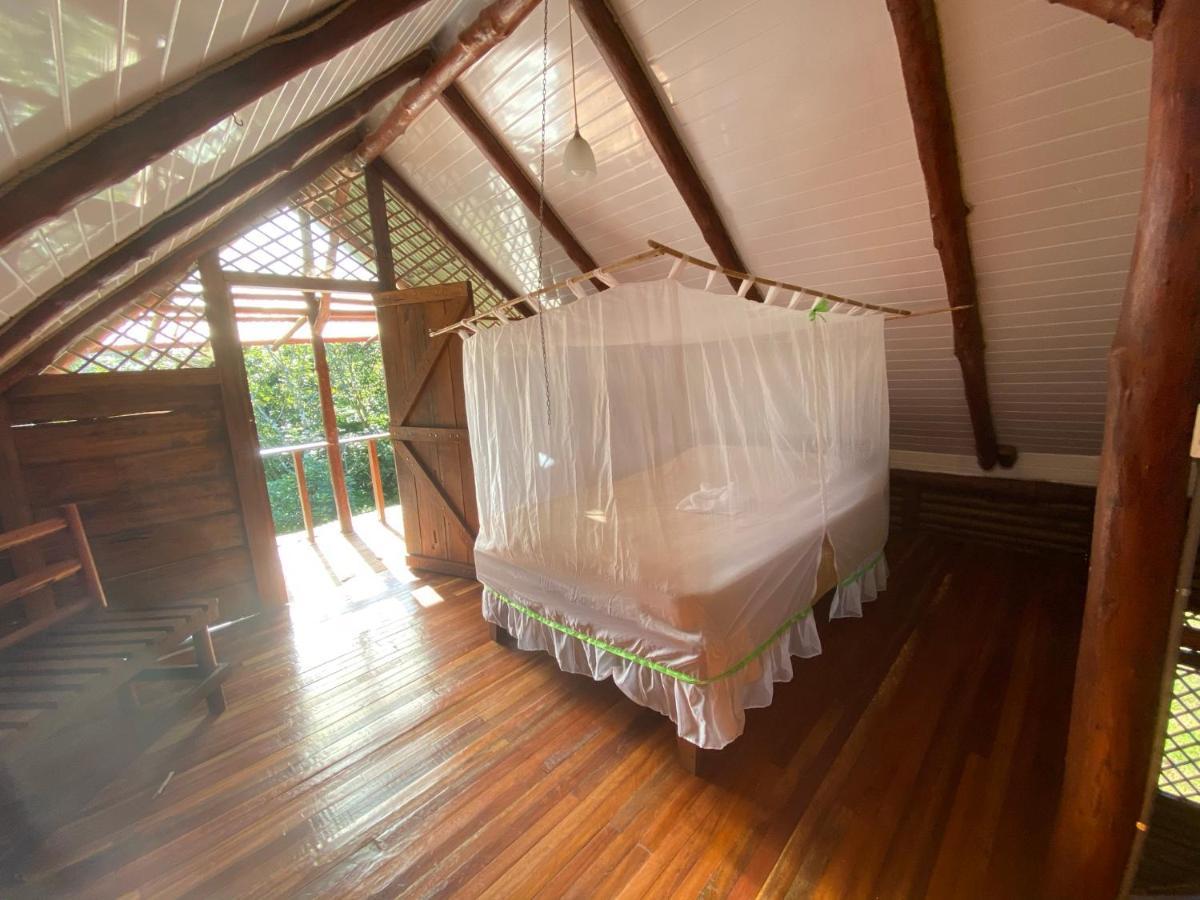 Eco Guest House- Sarapiqui 2 מראה חיצוני תמונה